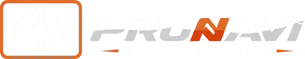 logo pronavi